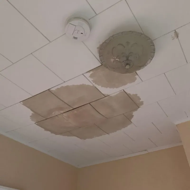 Ceiling Water Damage Repair in Pecan Plantation, TX