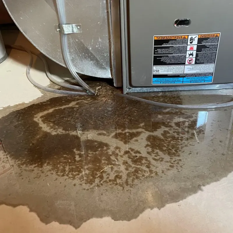 Pipe Burst and Leak Restoration in Pecan Plantation, TX