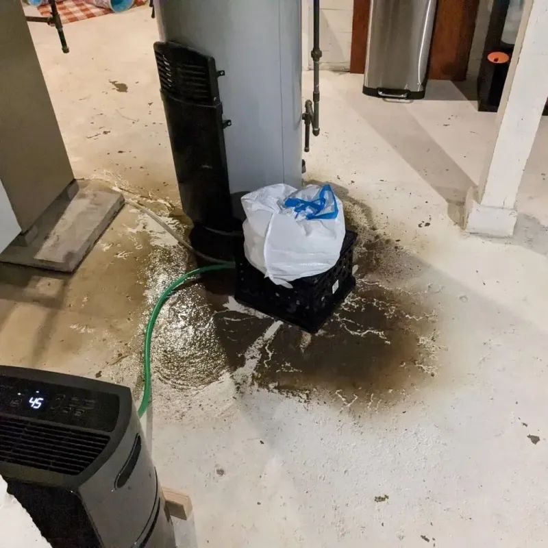Sewage Backup Cleanup Service in Pecan Plantation, TX